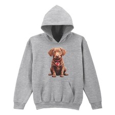 Chocolate Labrador Puppy With