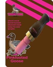 Pinkfoot goose call (short
