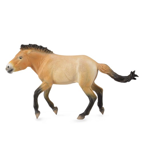 Collecta przewalski stallion - przewalski,