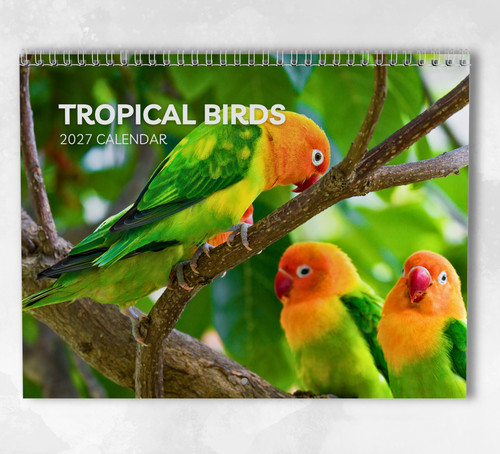 Tropical birds calendar 2027 - tropical,