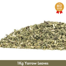 Yarrow Herb Achillea