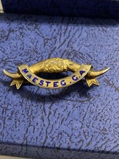 MAESTEG GA ROAB SILVER Enamel