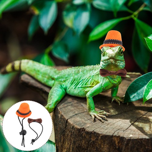Animal headwear pet costumes - animal,