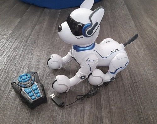 Ziggy the robo - ziggy,