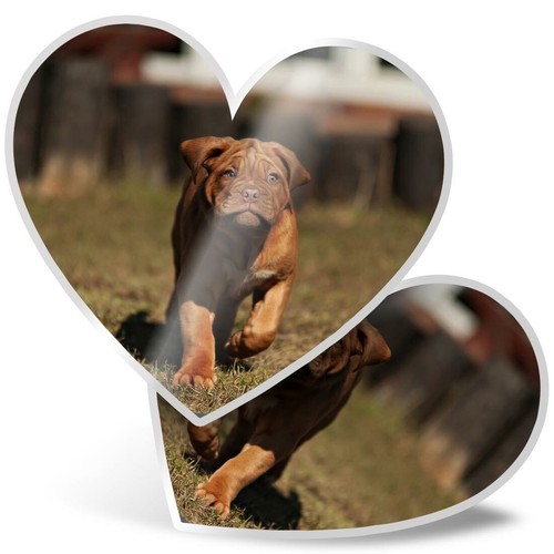 Heart stickers cm - cm,