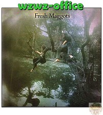 2019 FRESH MAGGOTS WITH BONUS