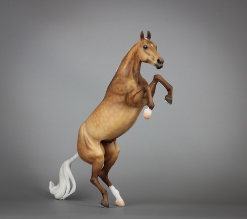 Breyer drastic custom bristol - breyer,