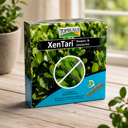Topbuxus xentari box tree - xentari,