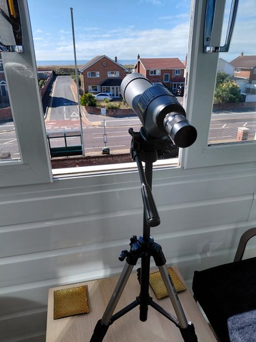 Kenko pro field spotting - field,
