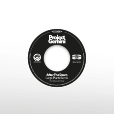 Project Gemini After the Dawn
