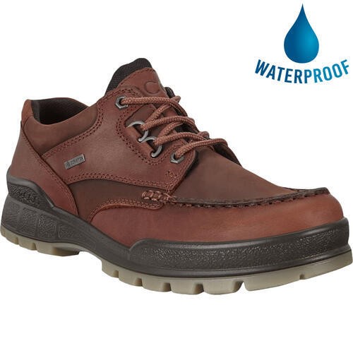 Ecco shoes track - 25, gtx