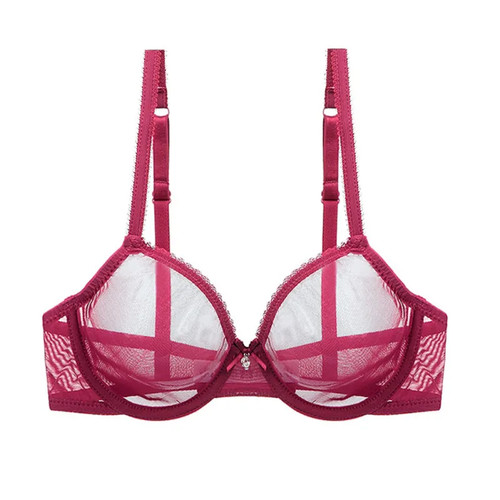 Fully sheer mesh - mesh, bra