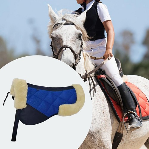 Horse english saddle - horse, pad