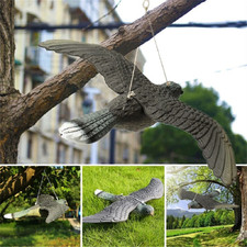 Fake falcon hawk bird - hawk,