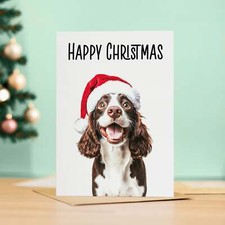 Springer Spaniel Dog Christmas
