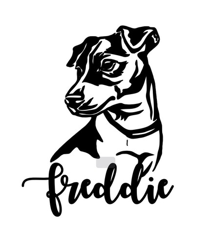 Jack russel dog - russel, custom