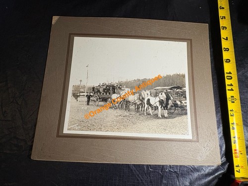 Antique horse drawn - drawn, transport