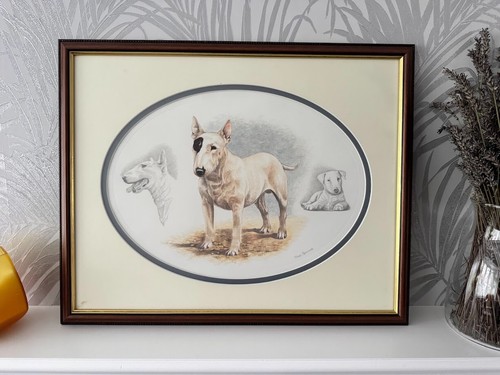 Nigel hemming bull terrier - nigel,