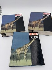 11 groups 90's Wildlife