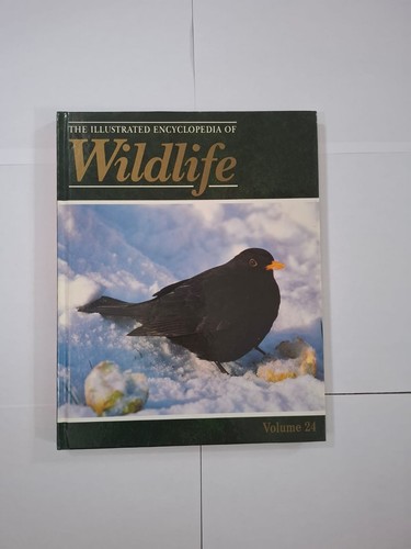 Bird bundle the illustrated - bird, bundle:the