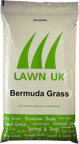 Bermuda grass seed - bermuda,