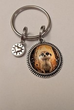 Sweetest lovable 'Meerkat'