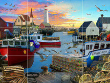 peggy's cove harbor fishing
