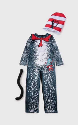 Cat the hat - in,