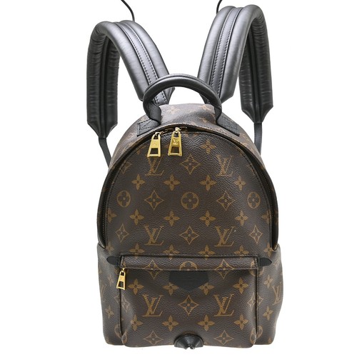 Louis vuitton palm springs - palm,