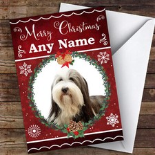 Bearded Collie Dog Traditional