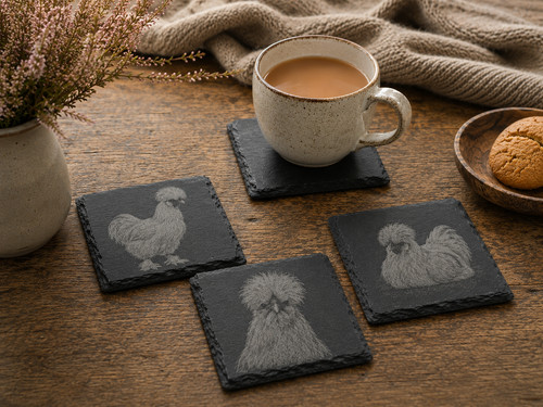 Silkie chicken slate - chicken,