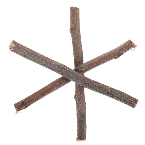 Pcs decorative branches - 10,