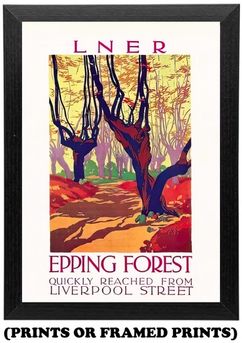 Epping forest lner - forest,