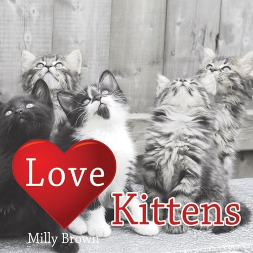 Love kittens brown milly - love,