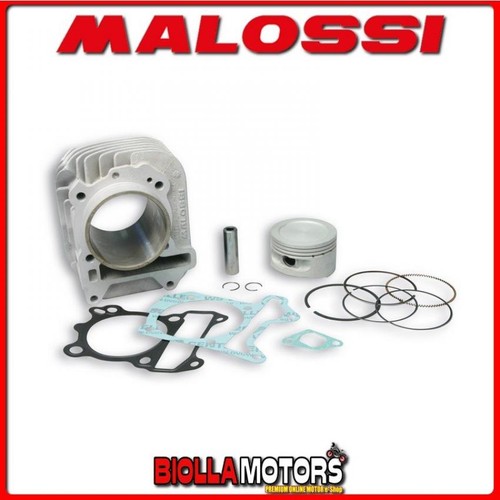 3111393 cylinder malossi - 3111393, 188cc
