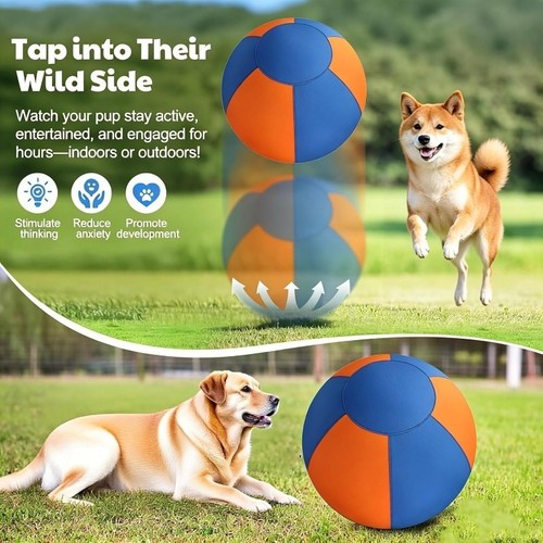 55cm sheepdog herding - 25/45/55cm,