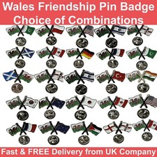 Wales Friendship Metal Lapel