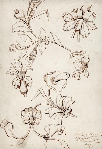 Garling pen ink - b.,