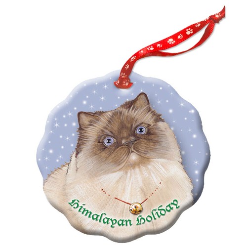 Himalayan cat holiday - himalayan,
