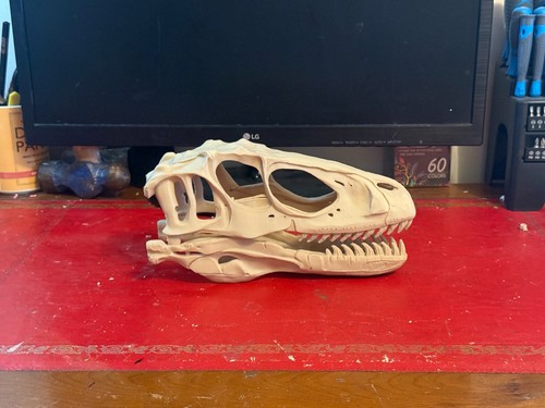 Deinonychus skull replica - deinonychus,