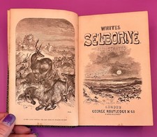 The Natural History of