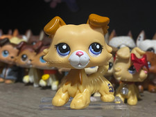 Authentic Littlest Pet Shop