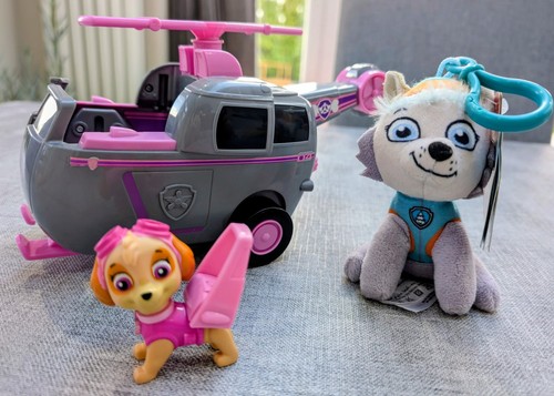 Paw patrol skye - patrol, fly