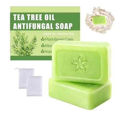 Tea tree oil antifungal - tree,