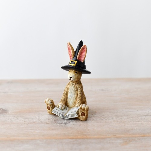 Jasper rabbit holding - jasper, spell