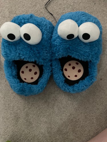 Fluffy cookie monster - cookie, slippers