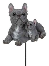 Vivid arts blue French Bulldog