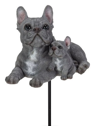 Vivid arts blue french - vivid, bulldog