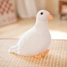 Simulation Pigeon Bird Soft