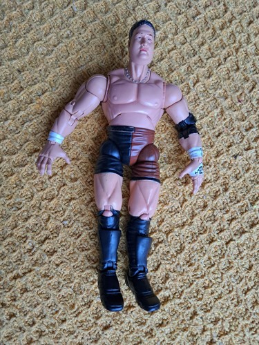 Tna impact samoa - joe, wrestler